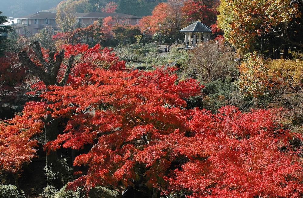 Suikoukan Hakone Dış mekan fotoğraf